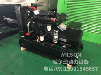 濰柴銳動力15kw柴油發(fā)電機(jī)組