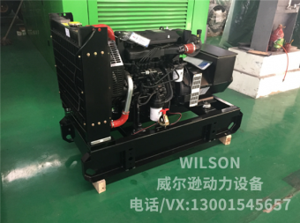 濰柴銳動力20kw柴油發(fā)電機(jī)組