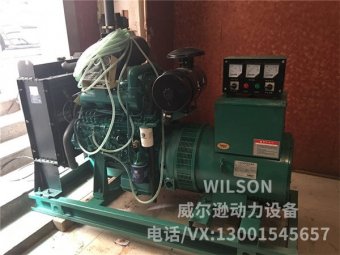 濰柴銳動力50kw柴油發(fā)電機(jī)組